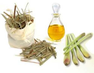 Lemongrass Oil