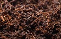 Organic vermicompost