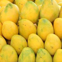 Fresh Mangoes