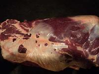 Buffalo Shoulder Meat