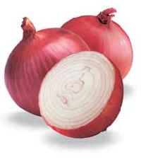 Onion