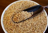 Roasted Sesame Seeds