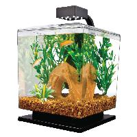 fish aquariums