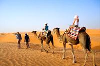 Rajasthan Tour