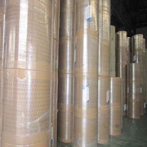 PE Coated Paper Rolls