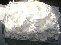 Bleached Soft Wood Pulp