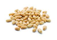 Salted Peanuts