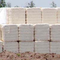 Cotton Bales