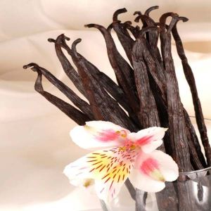 Organic Vanilla