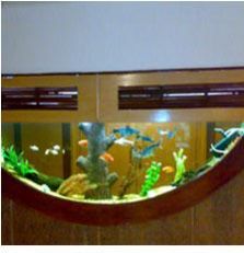 Base curved aquarium