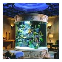 Round Aquarium