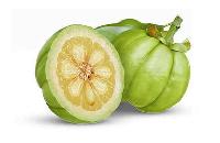 Garcinia Cambogia