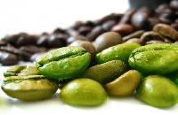 Green Coffee Bean