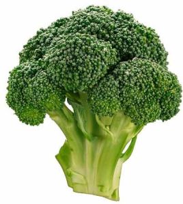 Fresh Broccoli