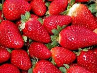 Fresh Strawberry