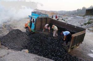 Steam Coal