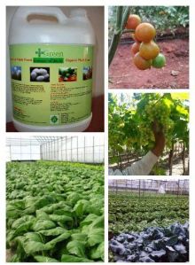 agriculture fertilizer