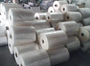 Printed Plastic Rolls