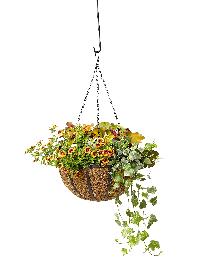 hanging flower pots