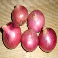 Pink Onion