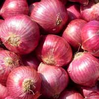 Red Onion