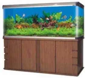 luxury aquarium