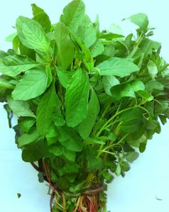 Chowali Sag Bhaji Green Seeds Amaranthus