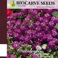 Biocarve Seeds