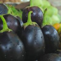 Brinjal Black Beauty Seeds