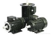 Electric Motor (BEBF)