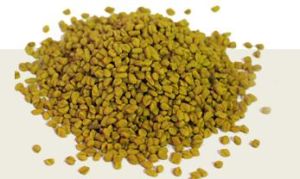 Fenugreek Seed