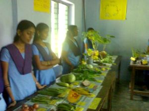 Agricultural Education