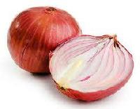 Fresh Onion