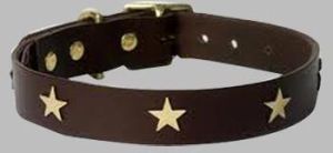 Leather Dog Collar: Dlc-118