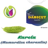 Karela  (Momordica charantia)