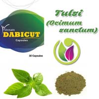 Tulsi ( Ocimum Sanctum) Medicine