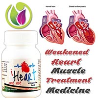 Weakened Heart Muscle Treatment Medicine