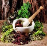 herbal plant extracts