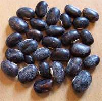 Mucuna Pruriens Beans