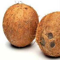 Coconut