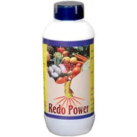 Redopower - Flowering Stimulant