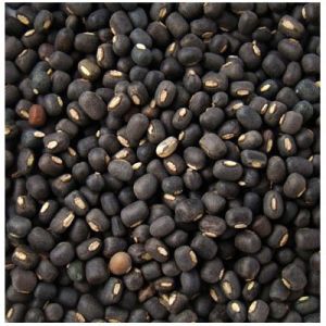 Urad Whole