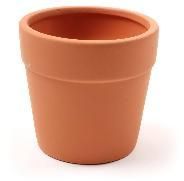 Terracotta Pots