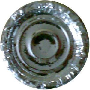 Paper Plate - (ppp-slpp-06)