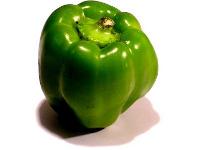 Green Pepper