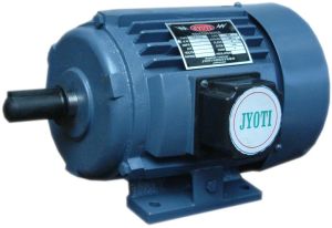 Induction Electric Motor