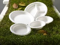 Disposable Tableware