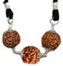 Rudraksha