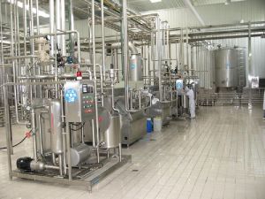 Milk Processing Plant