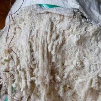 Hard Cotton Waste